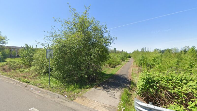 Remy Wetland Trail - Battle Ground, WA