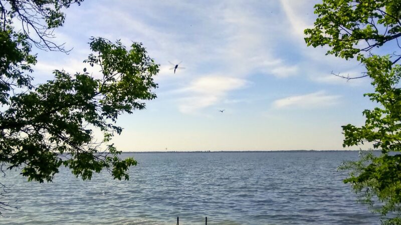 Amor Park - Battle Lake, MN