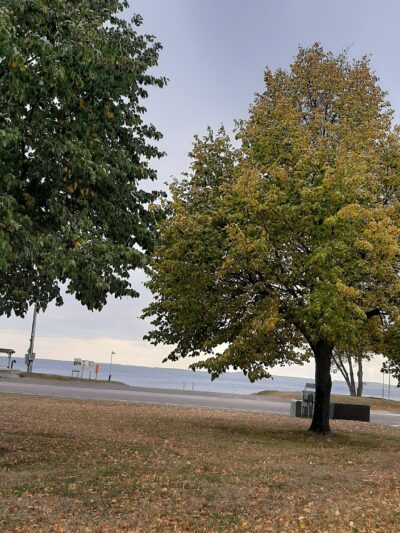 Lions Park - Battle Lake, MN