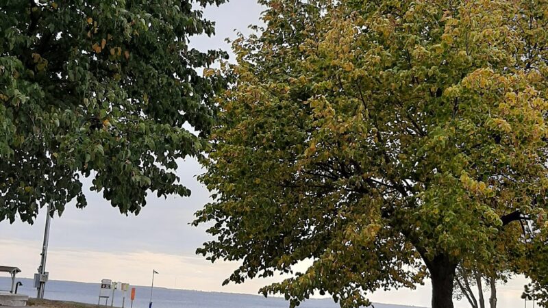 Lions Park - Battle Lake, MN