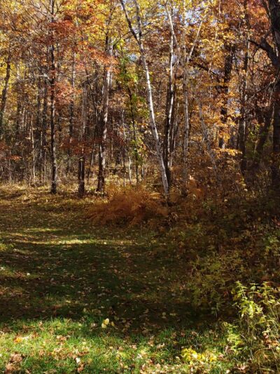 Paul Bunyan State Trail - Baxter Trailhead Parking - Baxter, MN