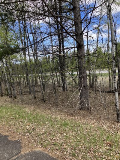 Paul Bunyan Trail - Baxter, MN