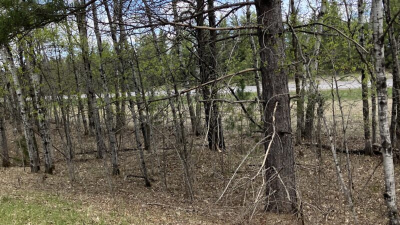 Paul Bunyan Trail - Baxter, MN