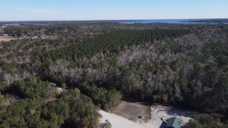 Natures Trace Park - Bayboro, NC
