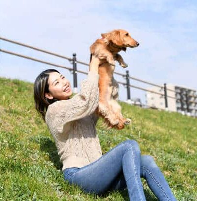 Throgs Neck Dog Park - Bayside, NY