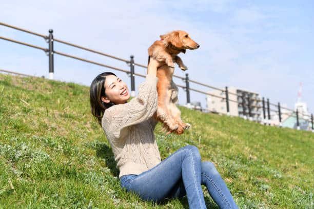 Throgs Neck Dog Park - Bayside, NY