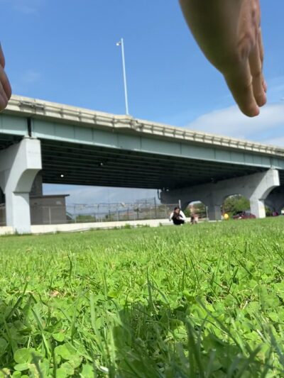 Throgs Neck Dog Park - Bayside, NY