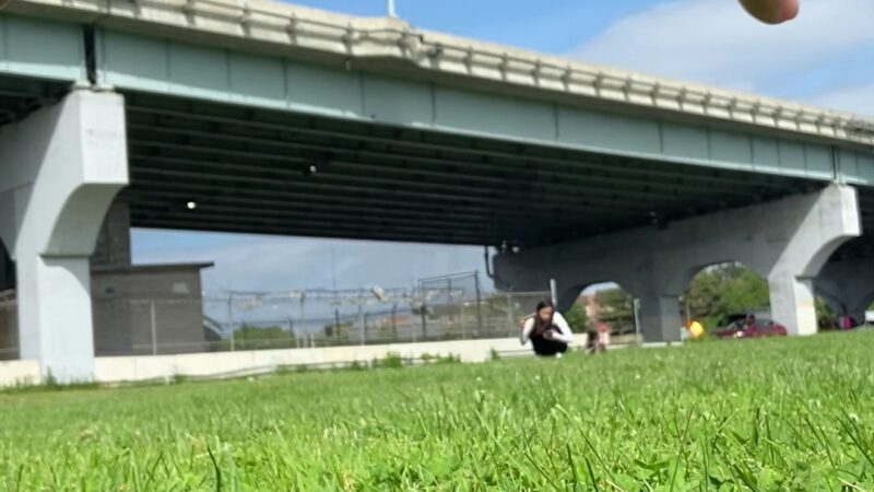 Throgs Neck Dog Park - Bayside, NY