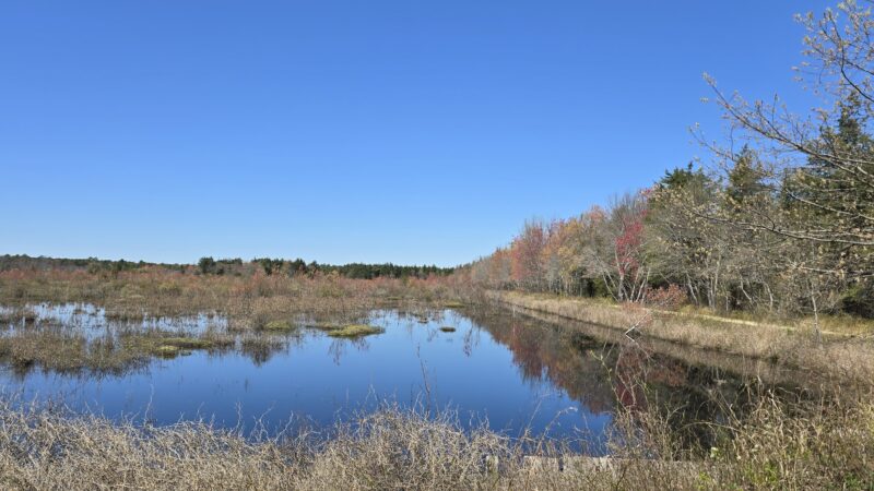 Double Trouble State Park - Bayville, NJ
