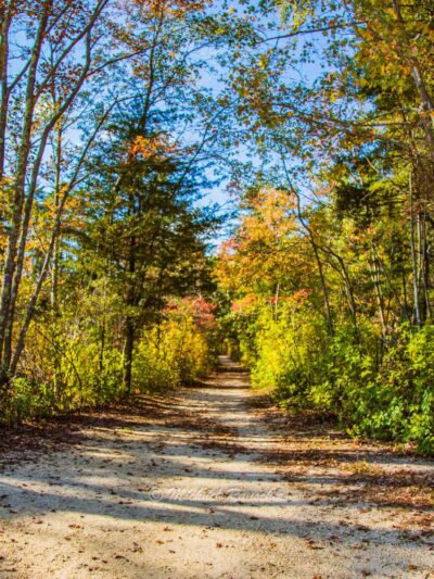 Double Trouble State Park - Bayville, NJ