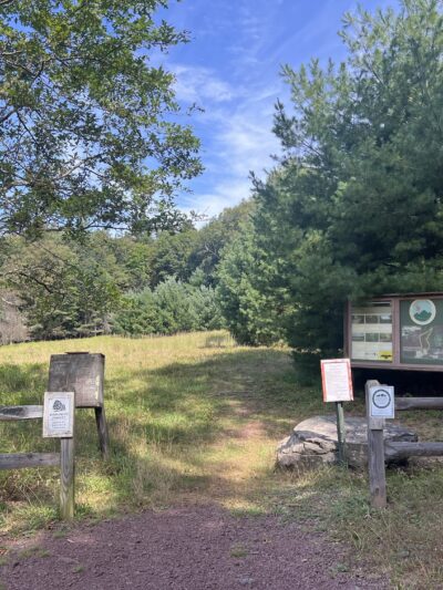Damascus Forest Trail - Beach Lake, PA