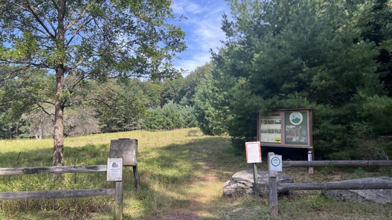Damascus Forest Trail - Beach Lake, PA