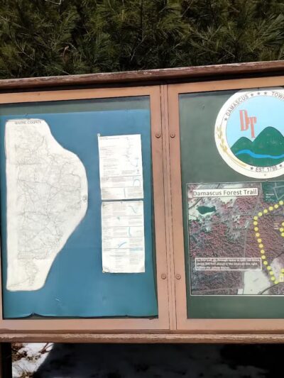 Damascus Forest Trail - Beach Lake, PA