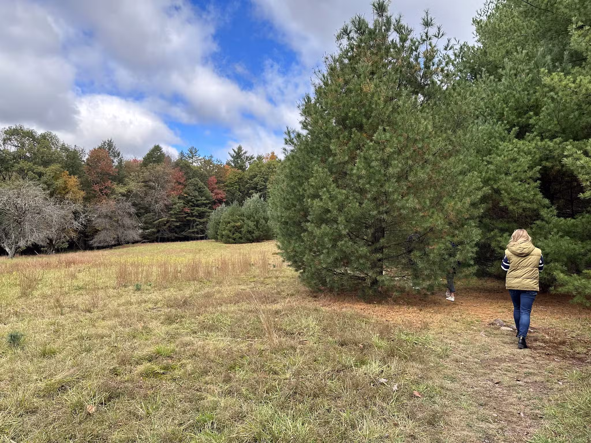 Damascus Forest Trail - Beach Lake, PA