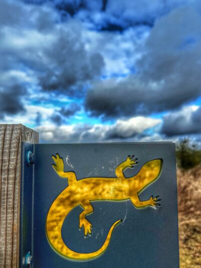 Delaware Highlands Conservancy - Van Scott Nature Reserve - Beach Lake, PA