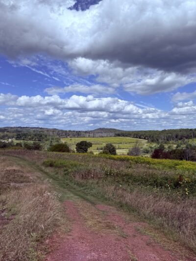 Delaware Highlands Conservancy - Van Scott Nature Reserve - Beach Lake, PA
