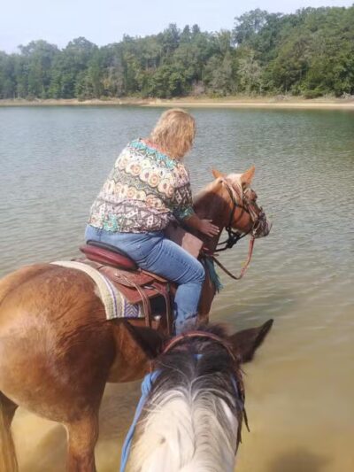 TVA Noeton Resource Management Area (Circle Park) - Bean Station, TN