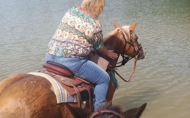 TVA Noeton Resource Management Area (Circle Park) - Bean Station, TN