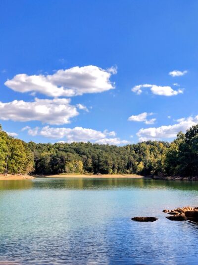 TVA Noeton Resource Management Area (Circle Park) - Bean Station, TN