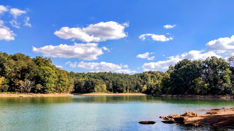 TVA Noeton Resource Management Area (Circle Park) - Bean Station, TN