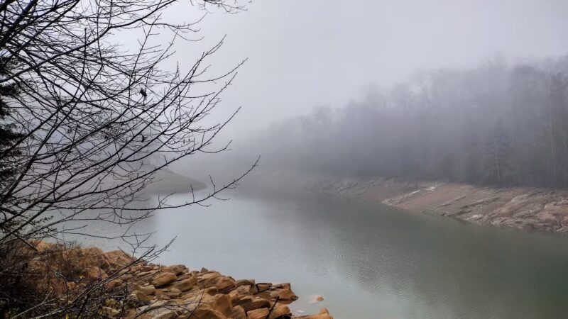 TVA Noeton Resource Management Area (Circle Park) - Bean Station, TN