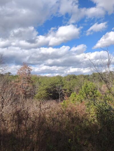TVA Noeton Resource Management Area (Circle Park) - Bean Station, TN