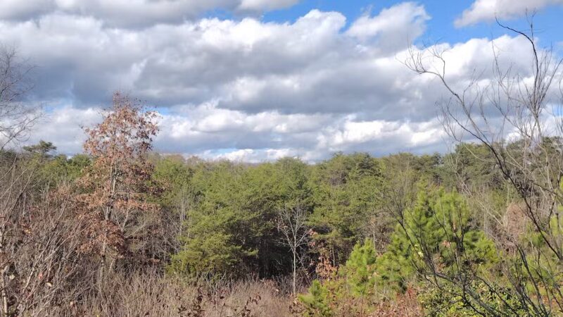 TVA Noeton Resource Management Area (Circle Park) - Bean Station, TN