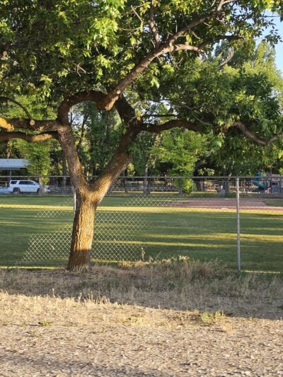 Bear River City Park - Bear River City, UT