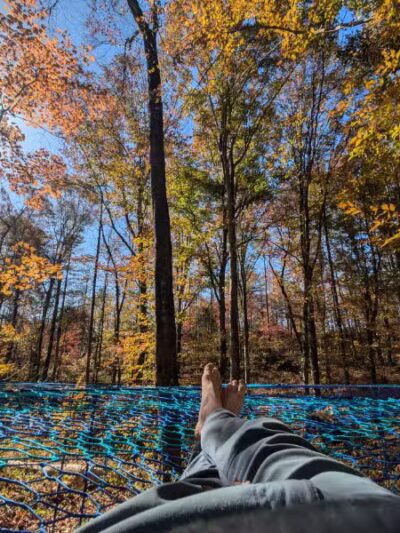 Firefly Hills - Beattyville, KY