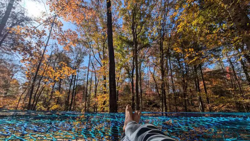 Firefly Hills - Beattyville, KY