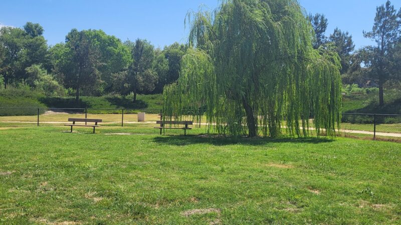 Nicklaus DiscGolf Park & Dog Park - Beaumont, CA