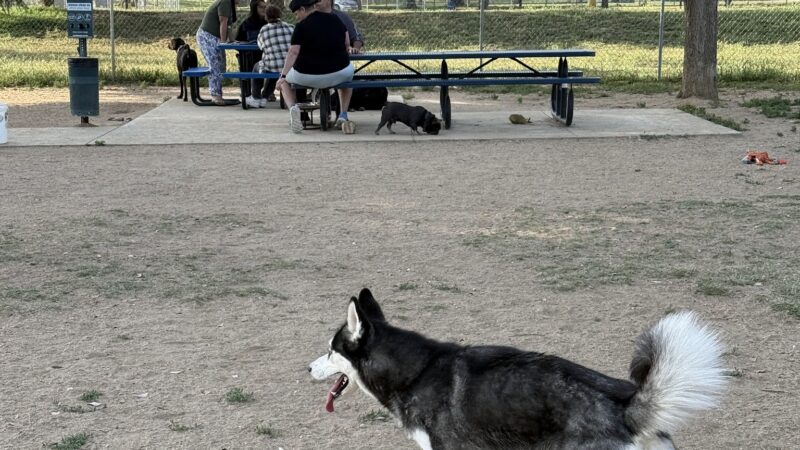 Noble Dog Park - Beaumont, CA