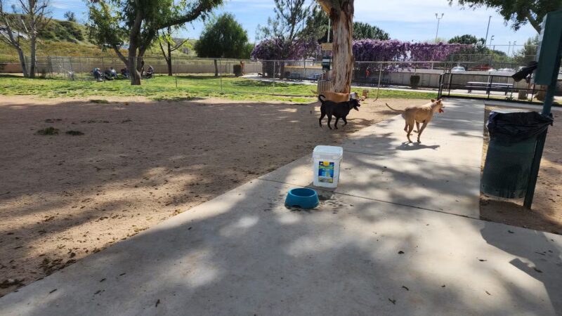 Noble Dog Park - Beaumont, CA