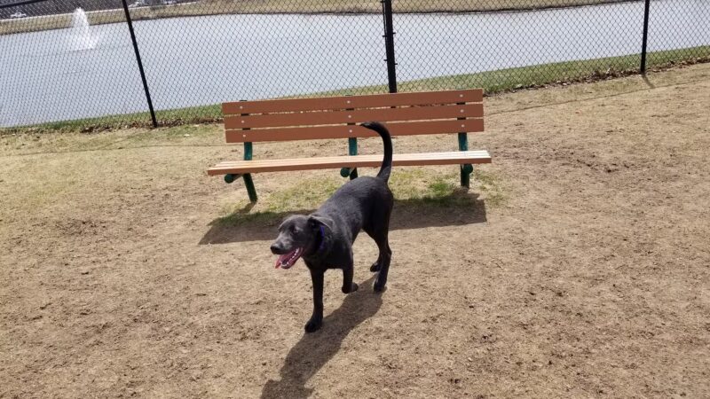 Beaver Dam Big Dog Park - Beaver Dam, WI