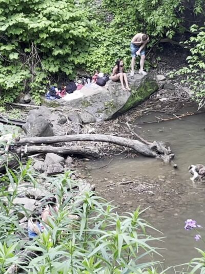 Buttermilk Falls Natural Area - Beaver Falls, PA