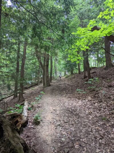 Bradys Run Park - Beaver Falls, PA