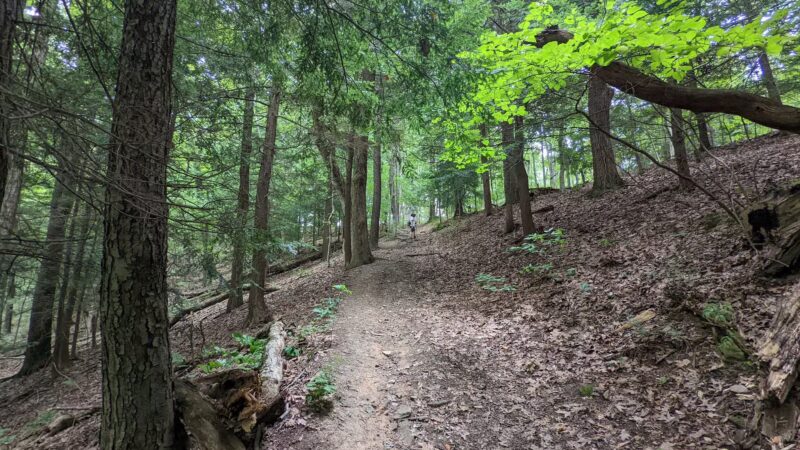 Bradys Run Park - Beaver Falls, PA