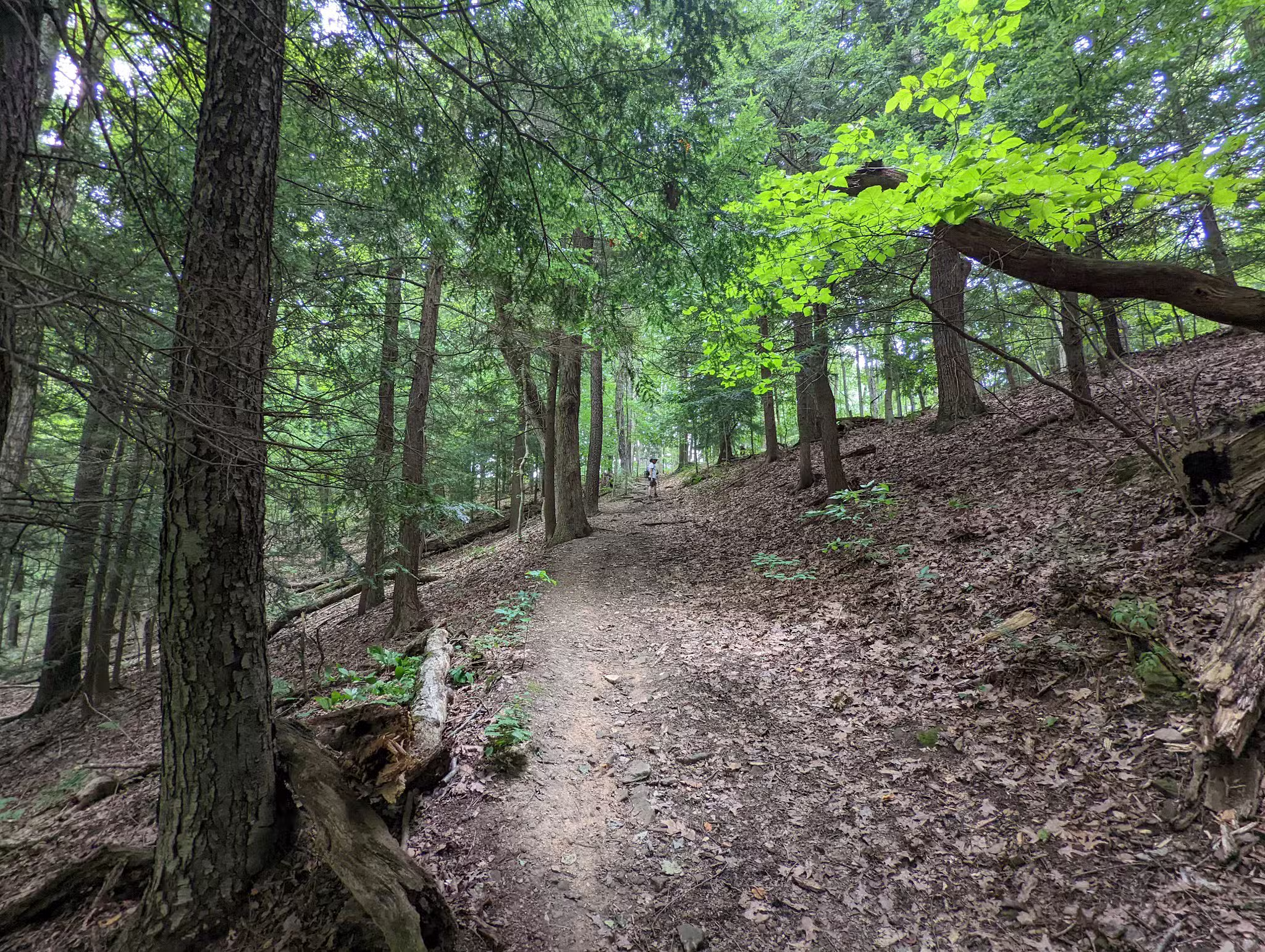 Bradys Run Park - Beaver Falls, PA