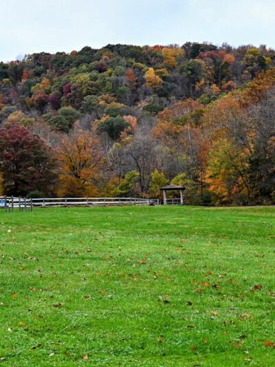 Bradys Run Park - Beaver Falls, PA