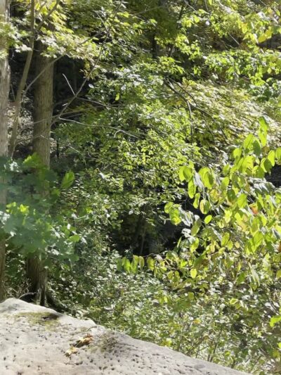 Brush Creek Park - Beaver Falls, PA