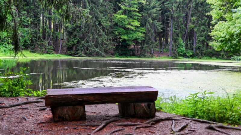 I.S. and Gertrude Sahli Nature Park - Beaver Falls, PA