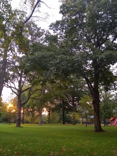 Wayne Park - Beaver, PA