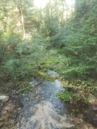 Shade Mountain Trailhead - Beaver Springs, PA