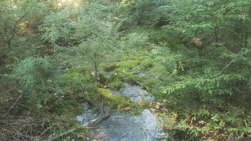 Shade Mountain Trailhead - Beaver Springs, PA