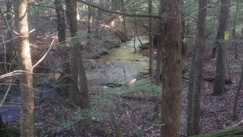 Shade Mountain Trailhead - Beaver Springs, PA