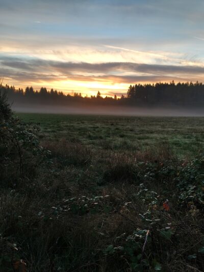 Beavercreek Community Park - Beavercreek, OR