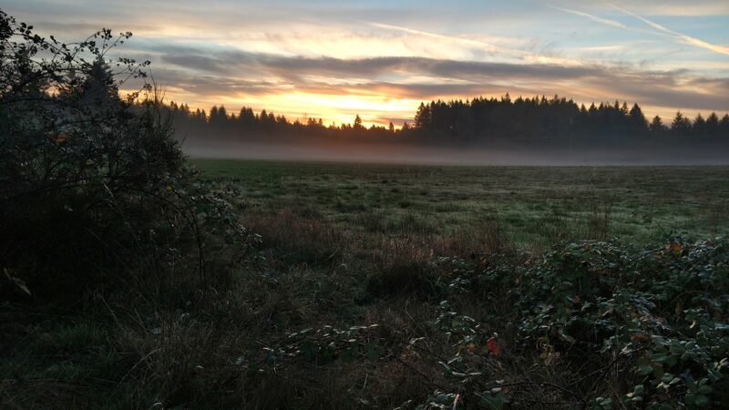 Beavercreek Community Park - Beavercreek, OR