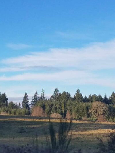 Beavercreek Community Park - Beavercreek, OR