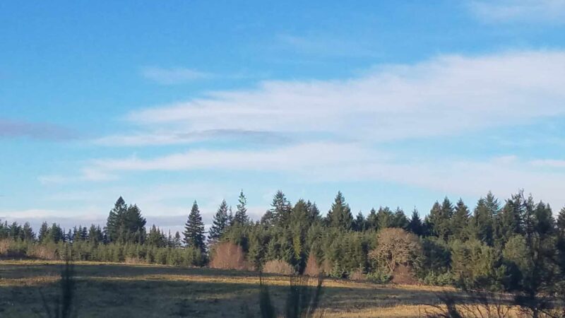 Beavercreek Community Park - Beavercreek, OR