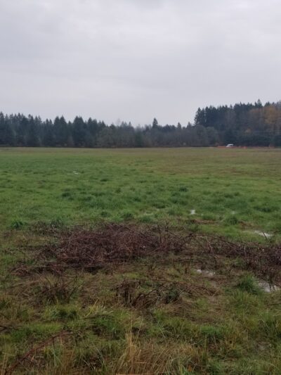 Beavercreek Community Park - Beavercreek, OR